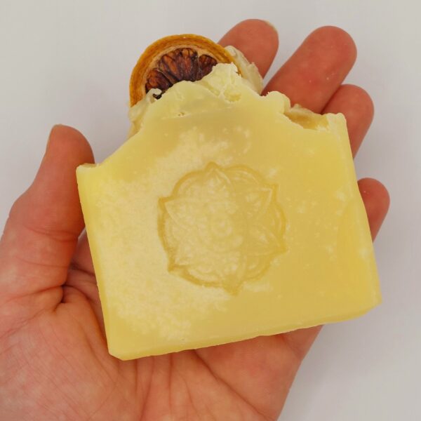 BIO Zitrone – Bild 2