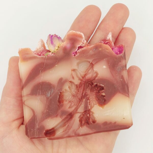 BIO Rose – Bild 2