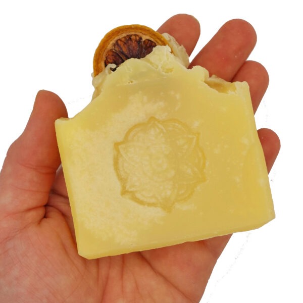 BIO Zitrone – Bild 2