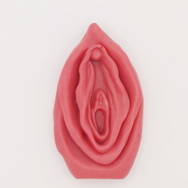 BIO Vulva 10cm – Bild 9