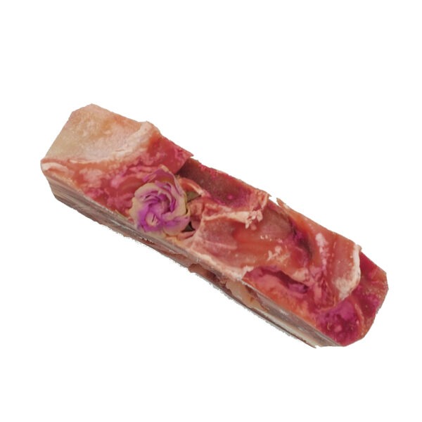 BIO Rose – Bild 3