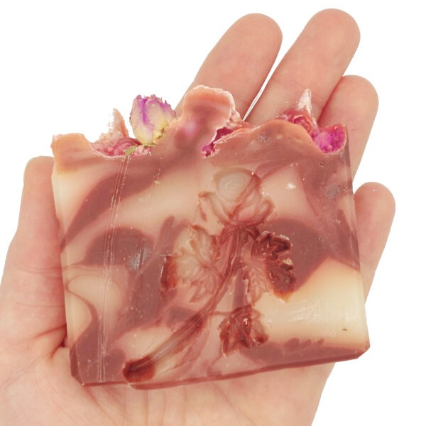 BIO Rose – Bild 2