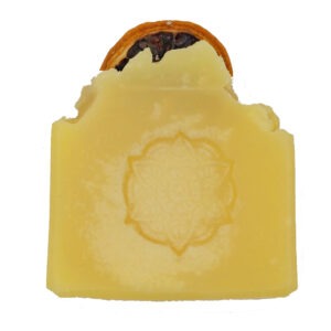 BIO Zitrone